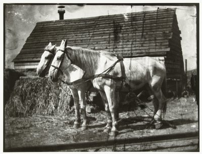 Heste ved Cruquiusweg af George Hendrik Breitner