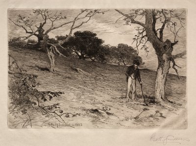 An Old New England Orchard, 1883. af George Henry Smillie