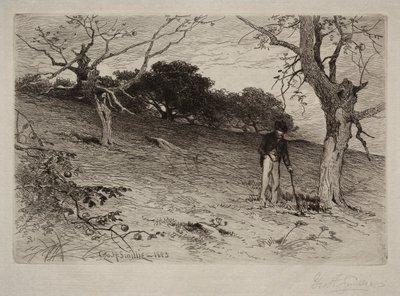 Landskab, 1883. af George Henry Smillie