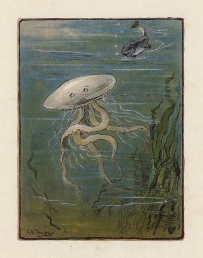 The Jellyfish (farvelitografi) af George Henry Thompson