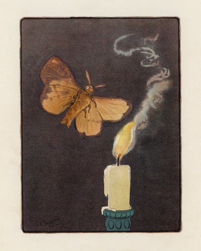 The Moth (farvelitografi) af George Henry Thompson