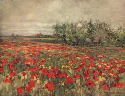 Valmuemarken, c1900, c1915 af George Hitchcock