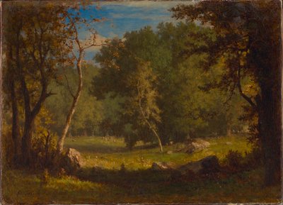 Elverjord af George Inness