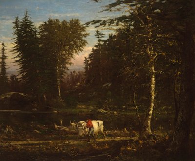 I Adirondacks af George Inness