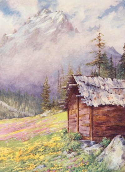 Caltha palustris og Primula farinosa på de øvre marker i Champex mod slutningen af maj (farvelitografi) af George Jackson Flemwell