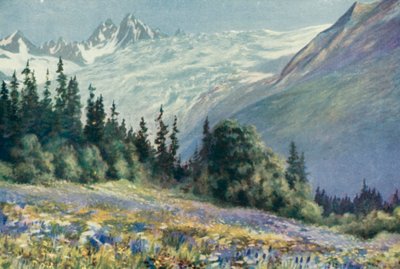 Campanula og andre juliblomster på Col Des Montets (farve litho) af George Jackson Flemwell