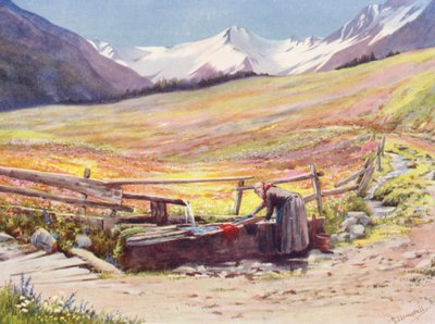 Marker i begyndelsen af juni bag Praz de Fort i Val Ferret, støttet af Groupe du Grand Saint-Bernard et du Grand Golliaz (farvelitografi) af George Jackson Flemwell