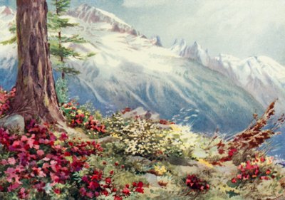 Mont Blanc og Aiguille Du Midi, set fra oven Argentiere (farve litho) af George Jackson Flemwell
