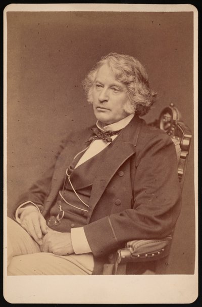 Portræt af Charles Sumner 1811-1874, før 1874. af George K Warren