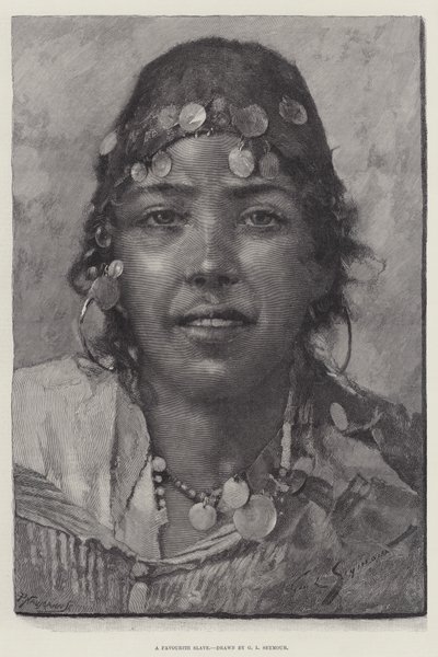 En yndlingsslave af George L. Seymour
