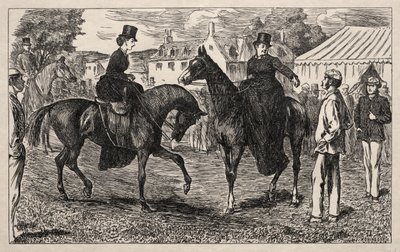 Hvorfor Pifflers mistede deres returkamp, 1865. af George Louis Palmella Busson Du Maurier