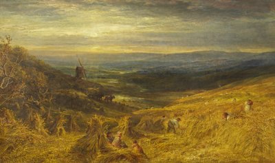 A Surrey Cornfield, ca. 1877 (olie på lærred) af George Lucas