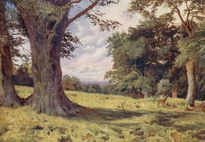 En lysning i Windsor Great Park (farvelitografi) af George Moore Henton