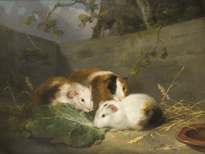 Marsvin af George Morland