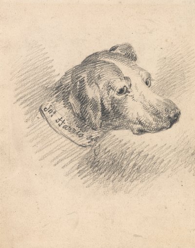 Hoved af en hund af George Morland