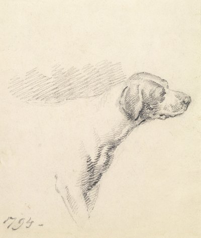 Studie af en hund, 1794 af George Morland
