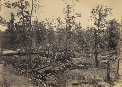 Slagmarken ved Atlanta, Georgia, 22. juli 1864, nr. 1 af George N. Barnard