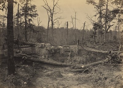 Slagmark ved New Hope Church, Georgia, nr. 2 af George N. Barnard