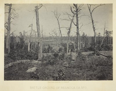 Battle Ground of Resacca, GA, nr. 3 af George N. Barnard