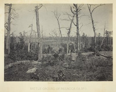 Battle Ground of Resacca, GA, nr. 3, 1866. af George N. Barnard