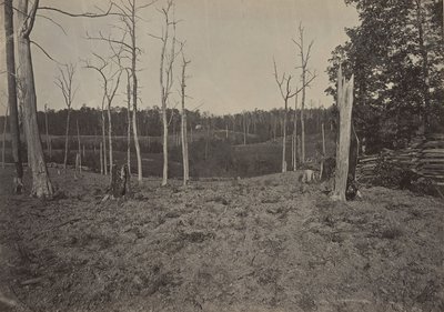 Battle Ground of Resacca, Georgia nr. 1, 1860