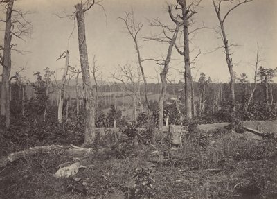 Battle Ground of Resacca, Georgia nr. 3, 1860