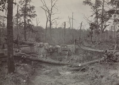 Battlefield of New Hope Church, Georgia, nr. 2, 1865-1866. af George N. Barnard