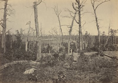 Slagmarken ved Resaca, Georgia, nr. 3,1864 (foto) af George N. Barnard