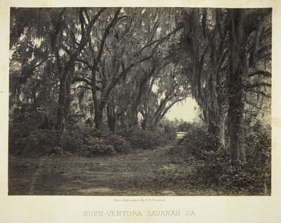 Buen-Ventura Savannah, Ga. af George N. Barnard