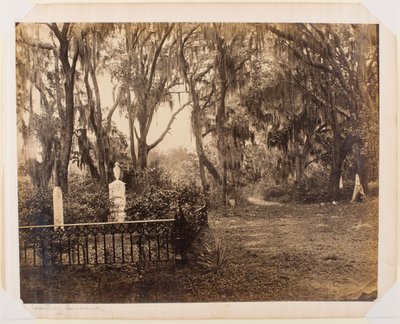 Buen-Ventura, Savannah, Georgia af George N. Barnard