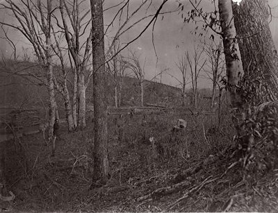 Bull Run, Virginia, 1861-62. af George N. Barnard