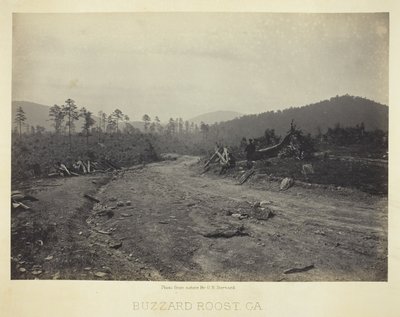 Buzzard Roost, GA af George N. Barnard