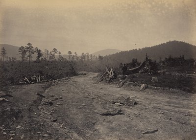 Buzzard Roost, Georgia af George N. Barnard