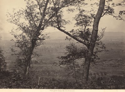 Orchard Knob fra Mission Ridge,1864-1866 (foto) af George N. Barnard