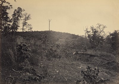 Pine Mountain af George N. Barnard
