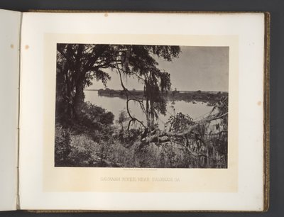 Savannah-floden, nær Savannah, Georgia af George N. Barnard