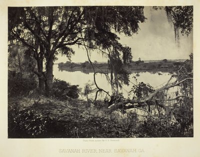 Savannah River, nær Savannah, GA af George N. Barnard