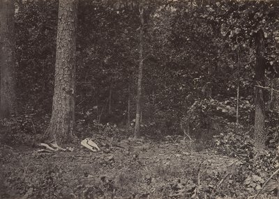 Scene for General McPhersons død, 1864 eller 1866. af George N. Barnard