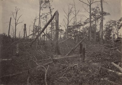 The Hell Hole New Hope Church, Georgia, 1860