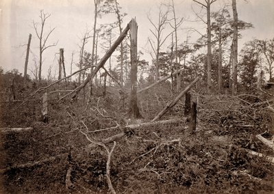 "Helvedeshullet", New Hope Church, Georgia, fra Photographic Views of Sherman