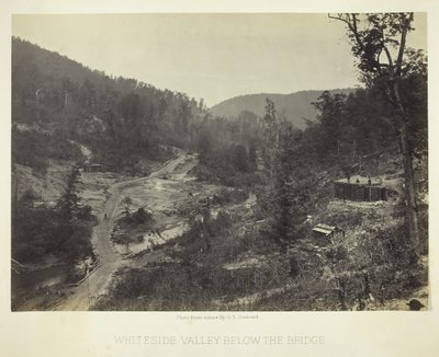 Whiteside Valley under broen, 1864. af George N. Barnard