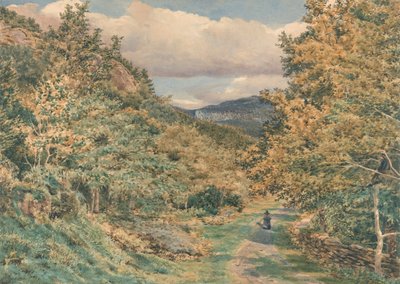 En vej nær Bettws-y-Coed af George Price Boyce