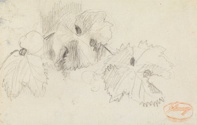 Undersøgelse af blade 1 af George Romney