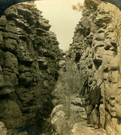 Wonderland Avenue, eller Silent Street, Grampians, Victoria, Australien, 1908. af George Rose