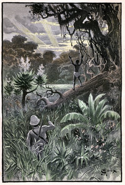 Illustration af George Roux til Jules Vernes bog "The Aerien Village" (1901), Hetzel edition/Extraordinary Voyages, Known and Unknown Worlds. Udsigt over en afrikansk skov (Congo). af George Roux