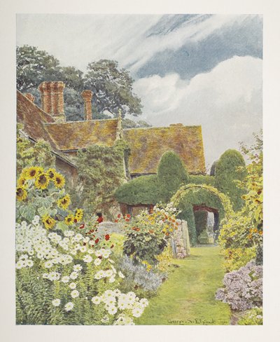 Cleeve Prior, Sunflowers, illustration i 