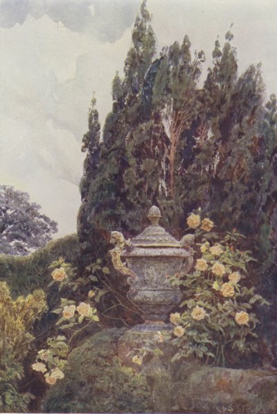 Glory of Dijon, Penshurst af George Samuel Elgood
