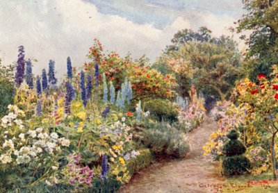Larkspurs (farvelitografi) af George Samuel Elgood