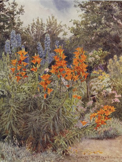 Orange liljer og lærkespore af George Samuel Elgood