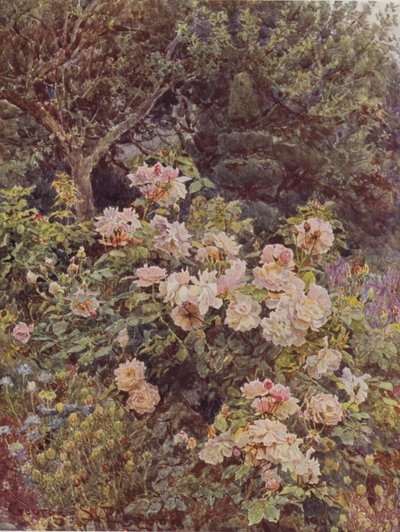 Viscountesse Folkestone af George Samuel Elgood